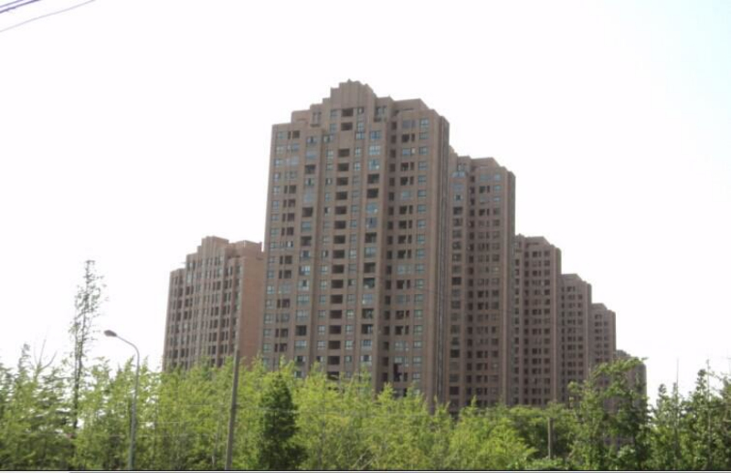 上海都市森林